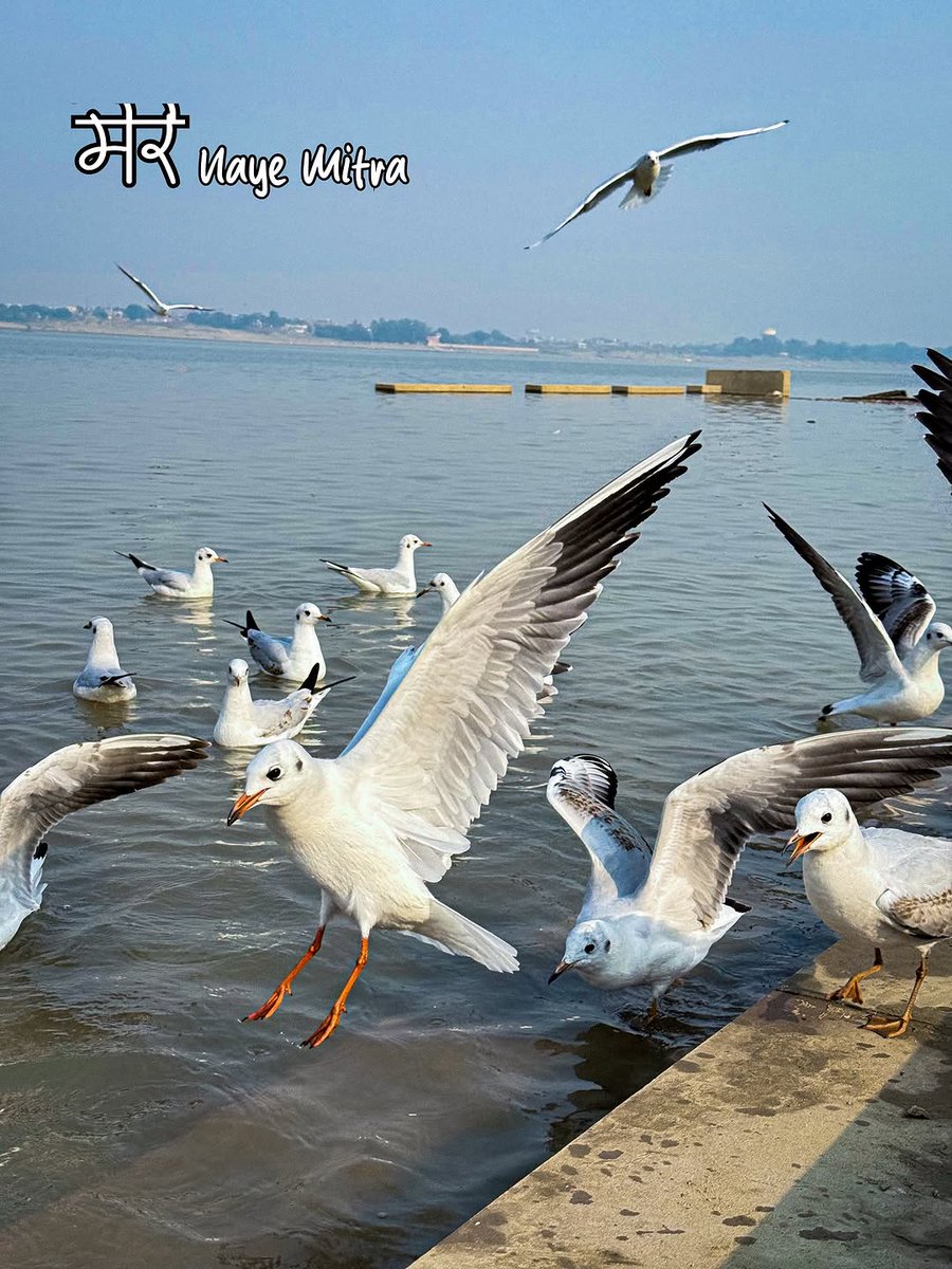 Why not broo #photography