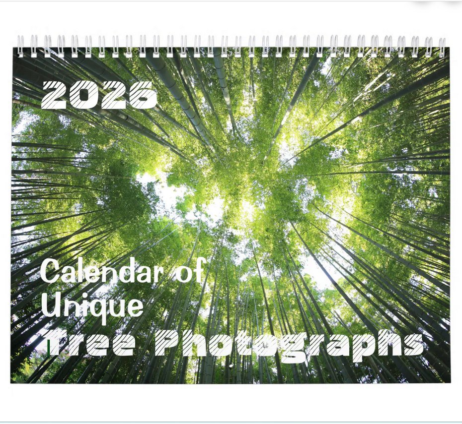 Evie_Hourglass's tweet image. 20% Off! #Calendar of Unique #Tree Photographs #Personalized 2026 zazzle.com/2025_calendar_… via @zazzle #Zazzle #calendars #calendar2026 #zazzlemade #photography #landscapes #photograph #photos #wallart #trees #forest #seasons #dates #winter #autumn #unique #OnSale #Save