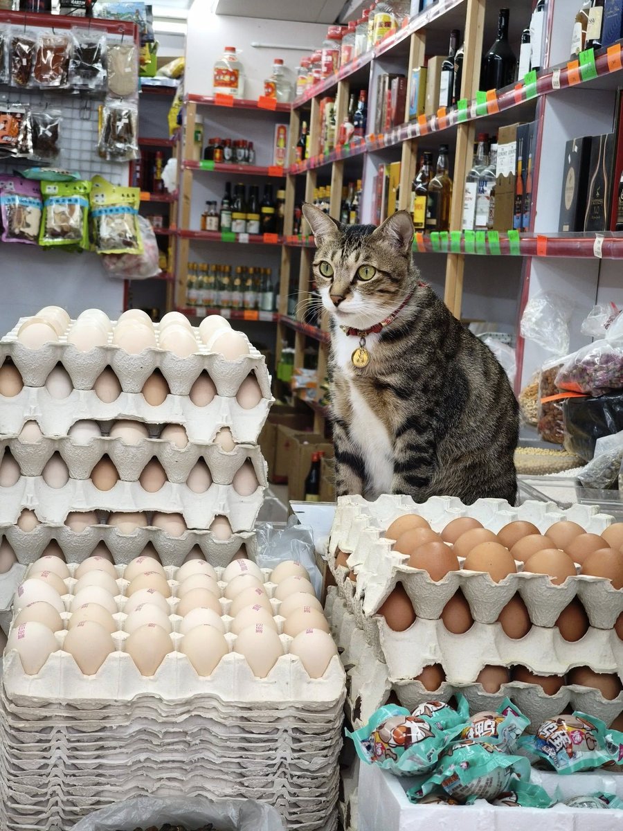 Egg seller.

📸 Tracy Seeh