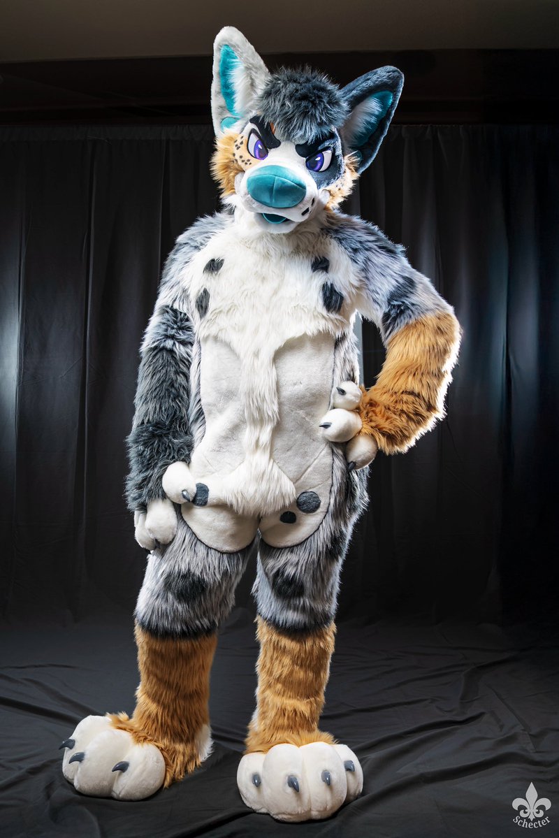 foxeuphoria's tweet image. Well, you coming or what?!

#FursuitFriday 
🪡: @mixedcandy