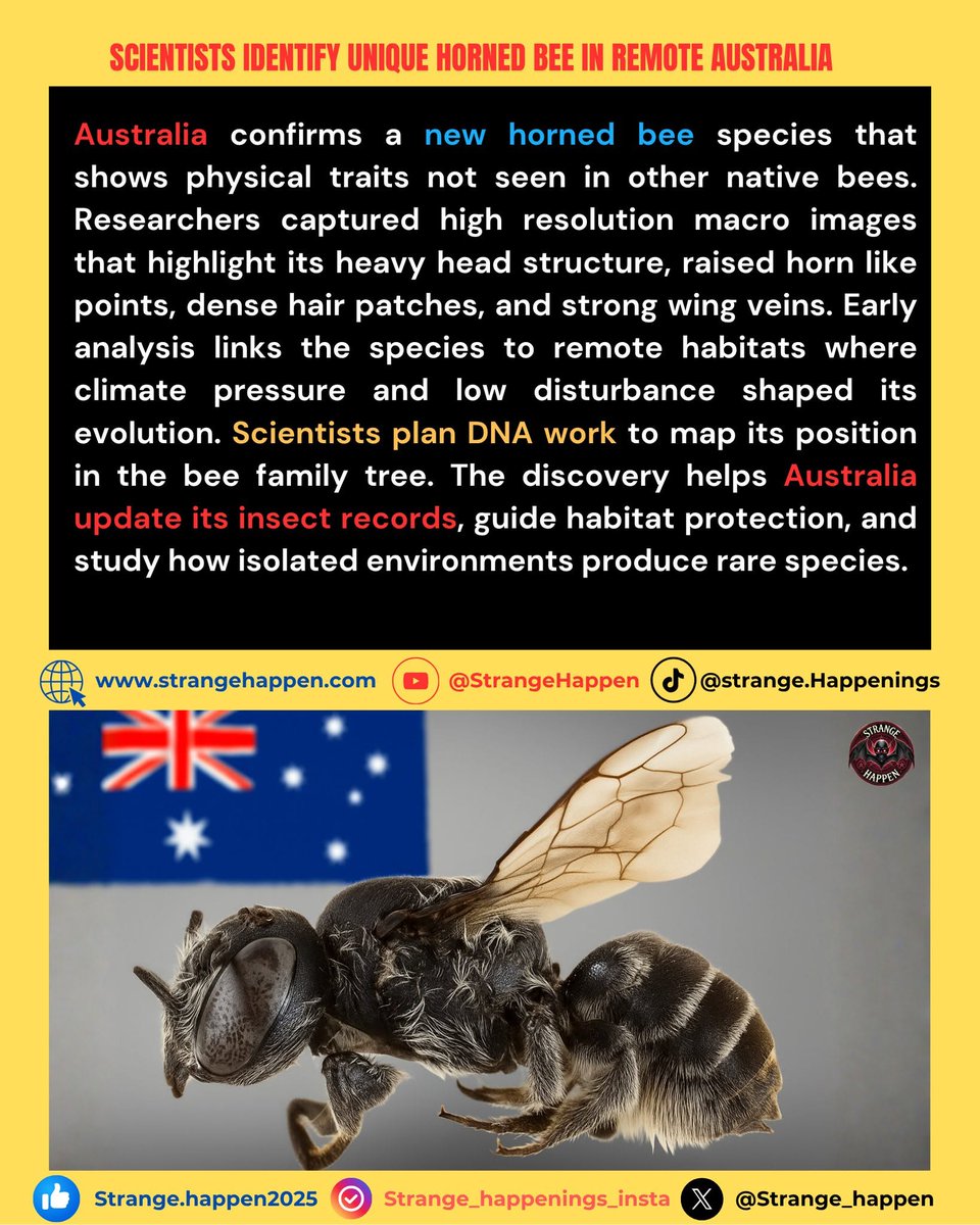 Strange Happenings tweet media