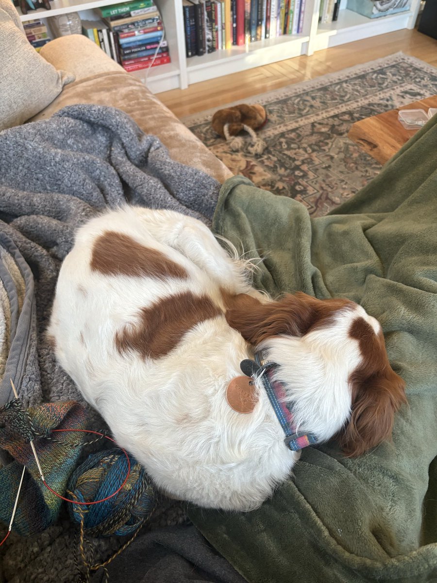 When the dog settles in on your lap and sighs. ☺️