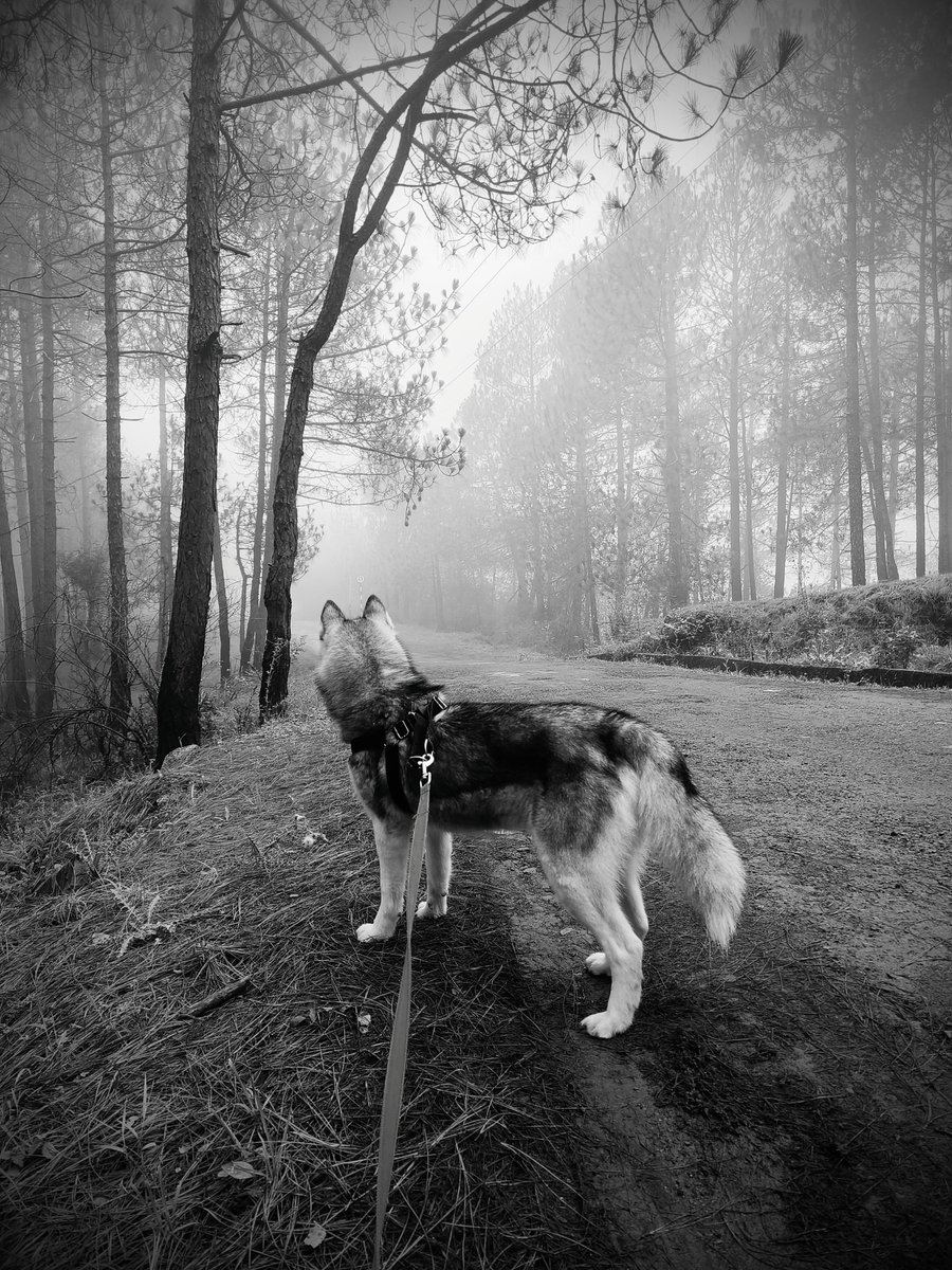 Received this beautiful gift from <a href="/XStellarShoots/">XStellar</a> and morning's made! Thank you beautiful for this piece... You know how much I feel it.. 

"Some souls aren’t found by chance, the universe sends them. They arrive like blessings from the universe itself, and your souls just know