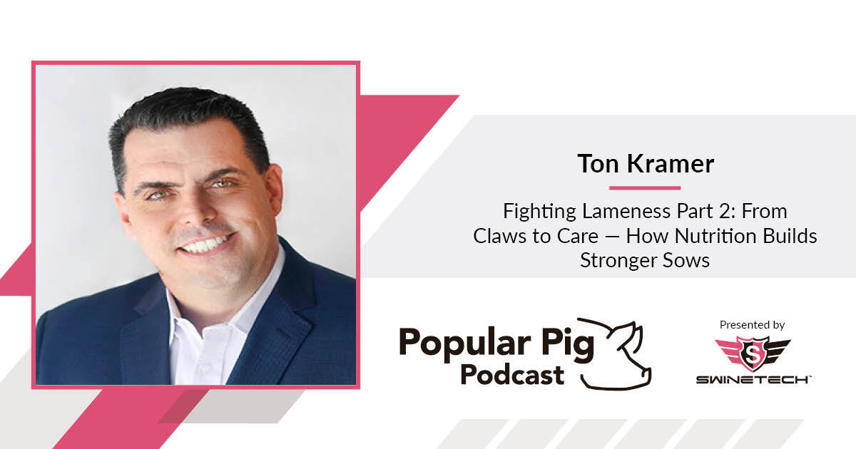 SwineTechInc's tweet image. Lameness hurts more than hooves. 
Ton Kramer explains how claw health impacts sow longevity, reproduction, and even piglet performance and why trace minerals are key to stronger, healthier herds.
#PopularPig #SwineHealth #PigCare #Nutrition

hubs.ly/Q03TdF9m0
