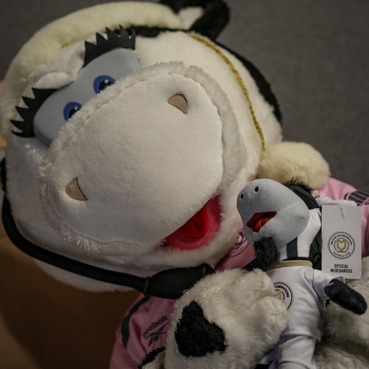 Stadium MK was proud to host yesterday’s <a href="/The_CEOSLEEPOUT/">CEO Sleepout UK</a> in Milton Keynes! ❤️

Together, participants helped raise over £30,000 to support those in our community who need it most. 

A huge thank you to everyone who took part, donated, or supported the event in any way. Your