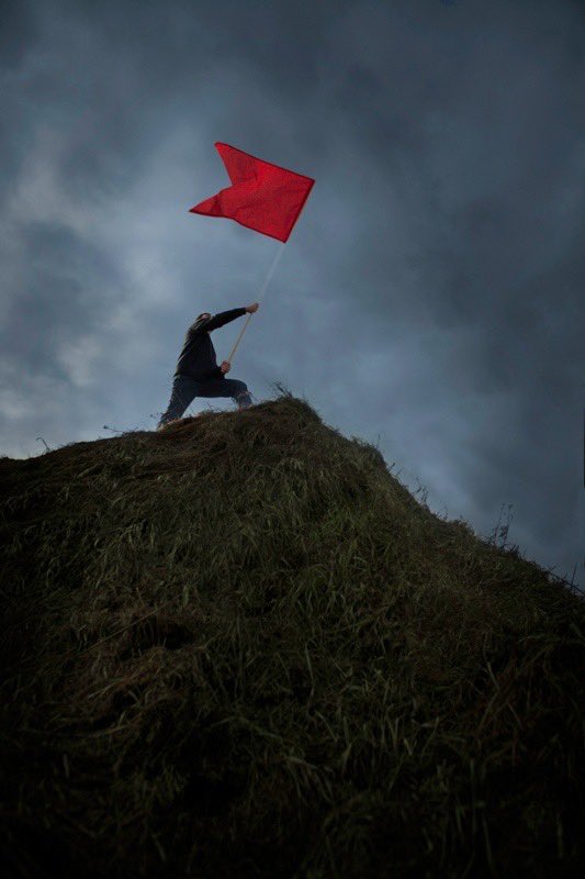 Amy Street 🇺🇸 tweet media