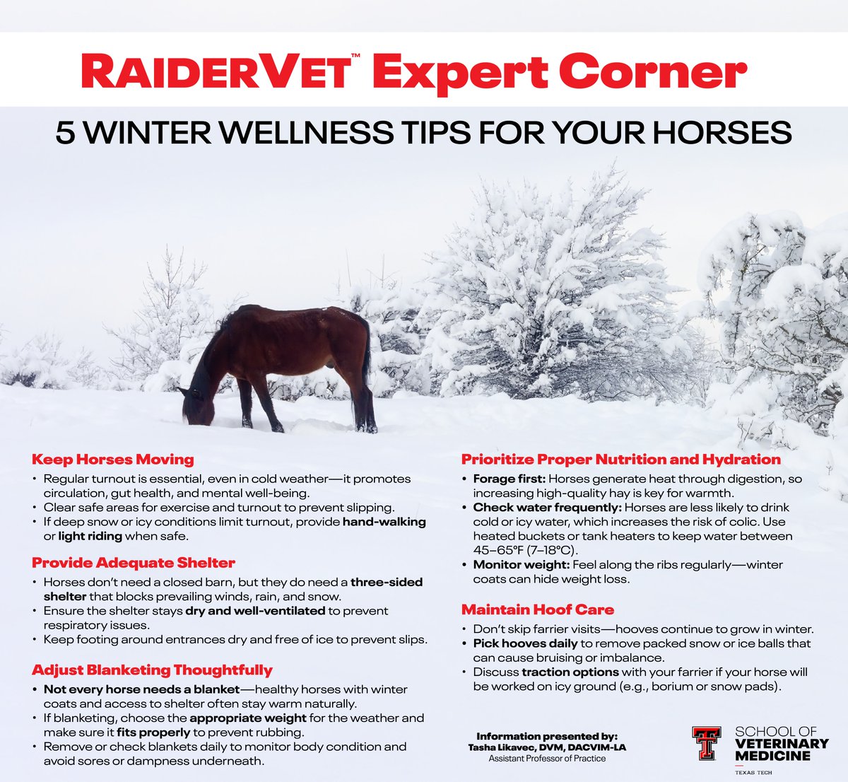 Can a Walking Pad Replace Daily Walking Outside? Discover the Truth!