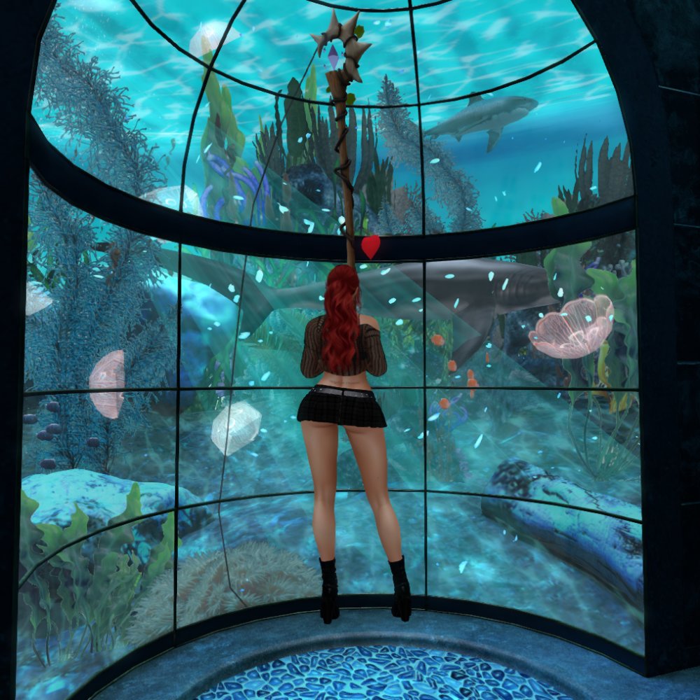 SpringEiren's tweet image. Can you fishing in an aquarium? 🎣
What if the fish keep us? 🦈
Anyway, happy black outfit day...🖤

maps.secondlife.com/secondlife/Uni…

#SecondLife #FishHunt #SL #LGH #CyberSociety #PoRnFiSh
