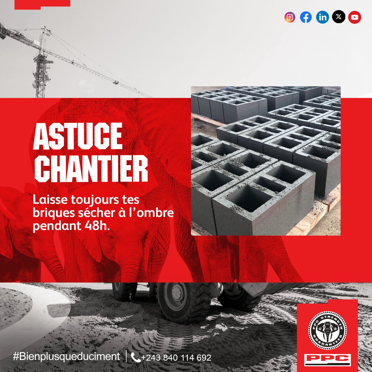 Pour des briques plus solides, chaque détail compte.

Astuce chantier : laisse toujours sécher tes briques à l’ombre pendant 48h pour éviter les fissures et garantir une meilleure résistance.

Avec SURECEM, fabriques des briques  plus durables, plus sûres, plus longtemps.