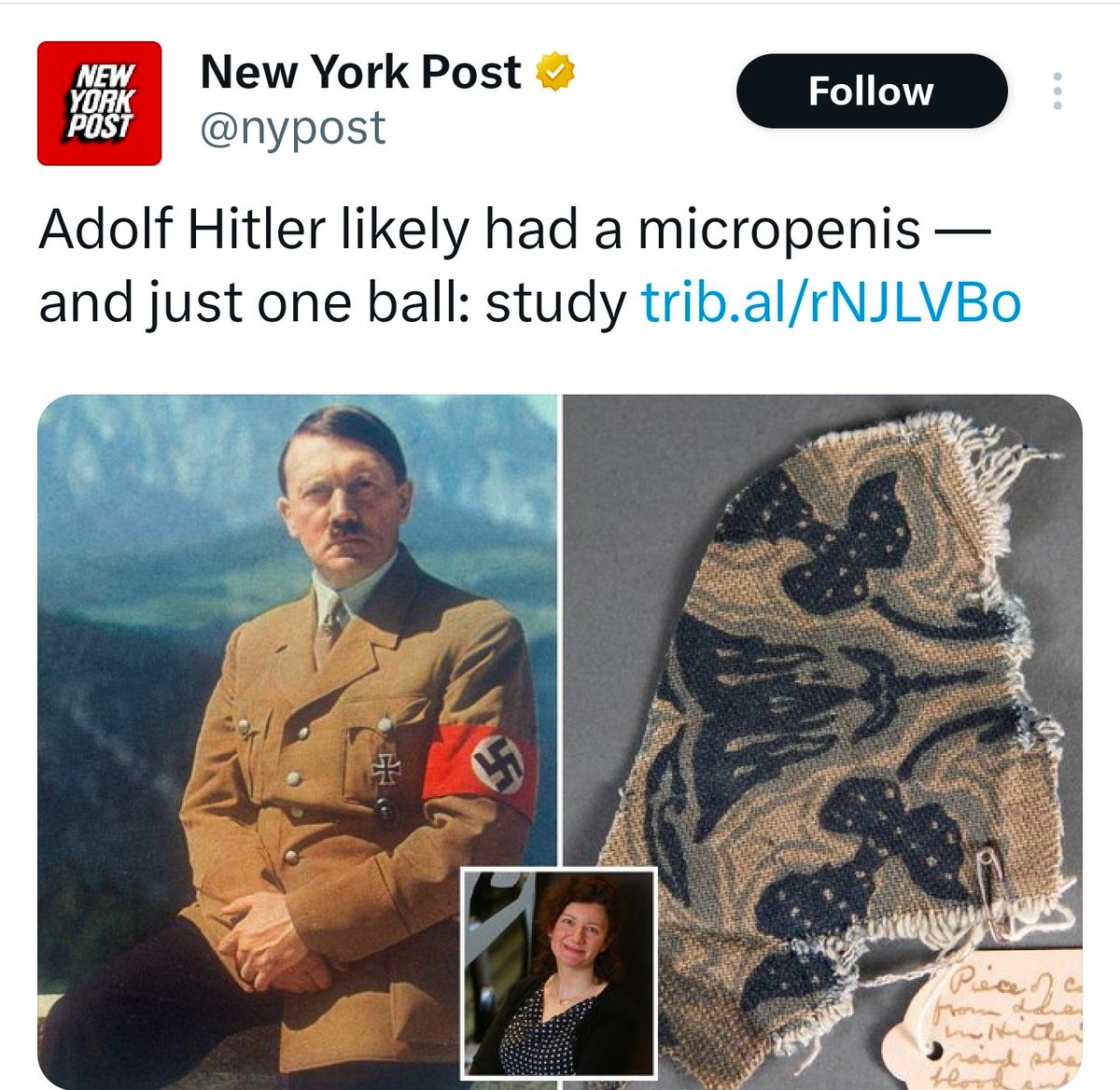 Hitler has become too popular with the youth so now we're doing 9th grade insult campaigns on him