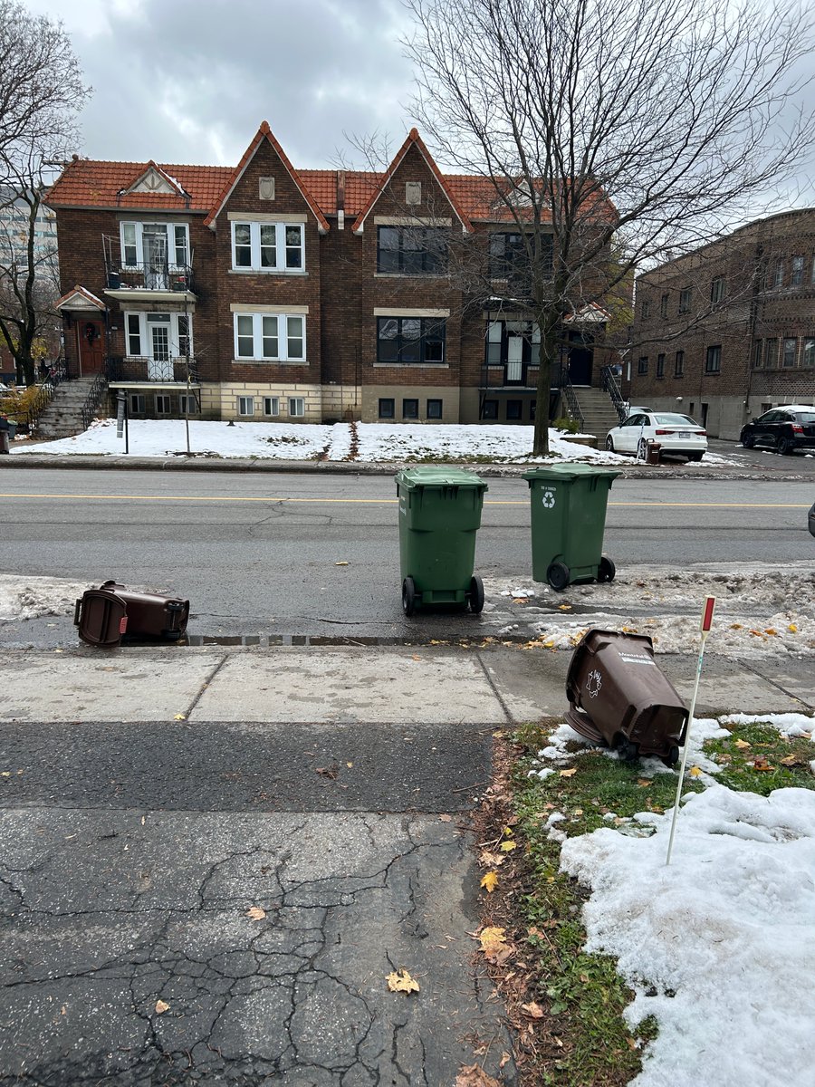 somecanuckchick 🍁@somecanuckchick@mastodon.world tweet media