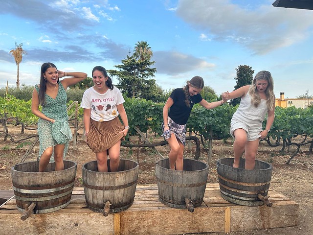 Three study abroad programs allow Auburn students to complete a full minor in seven or 13 weeks

Studying abroad offers Auburn University students the chance to build global perspective, strengthen character and enhance academic achievement.

Story ⬇️

🔗aub.ie/study-abroad-f…