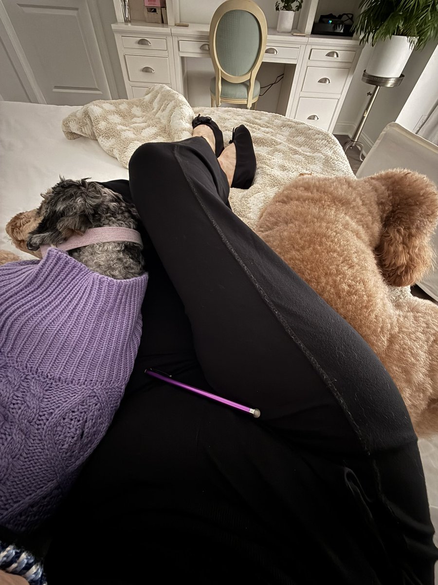 23LbsofHappy's tweet photo. Mawm keepins the peace #Friday #Dogs #Legasleep #AnythingForDogs https://t.co/izwjtZyPAq