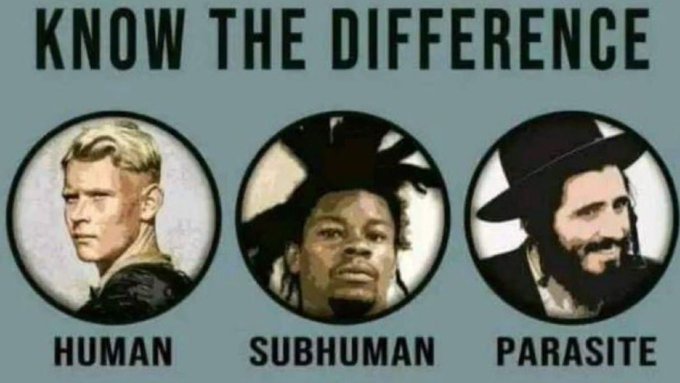 Make_EuropaSnow's tweet image. KNOW THE DIFFERENCE....

White Europeans are Human.

ALL the non-whites are subhuman.

jews are the parasites.