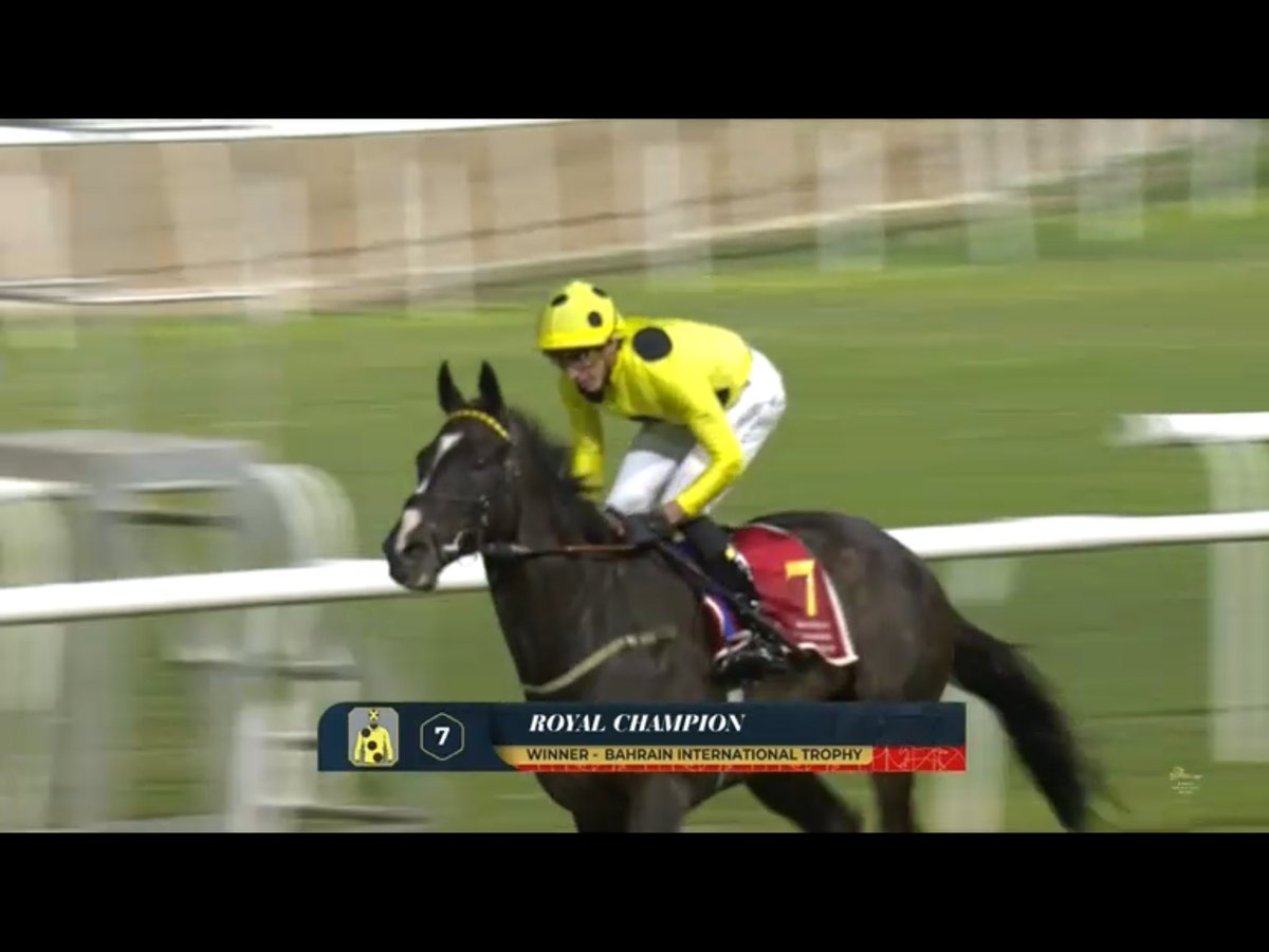 Barhain International Trophy champion is 
ROYAL CHAMPION 😄🏇👏👏