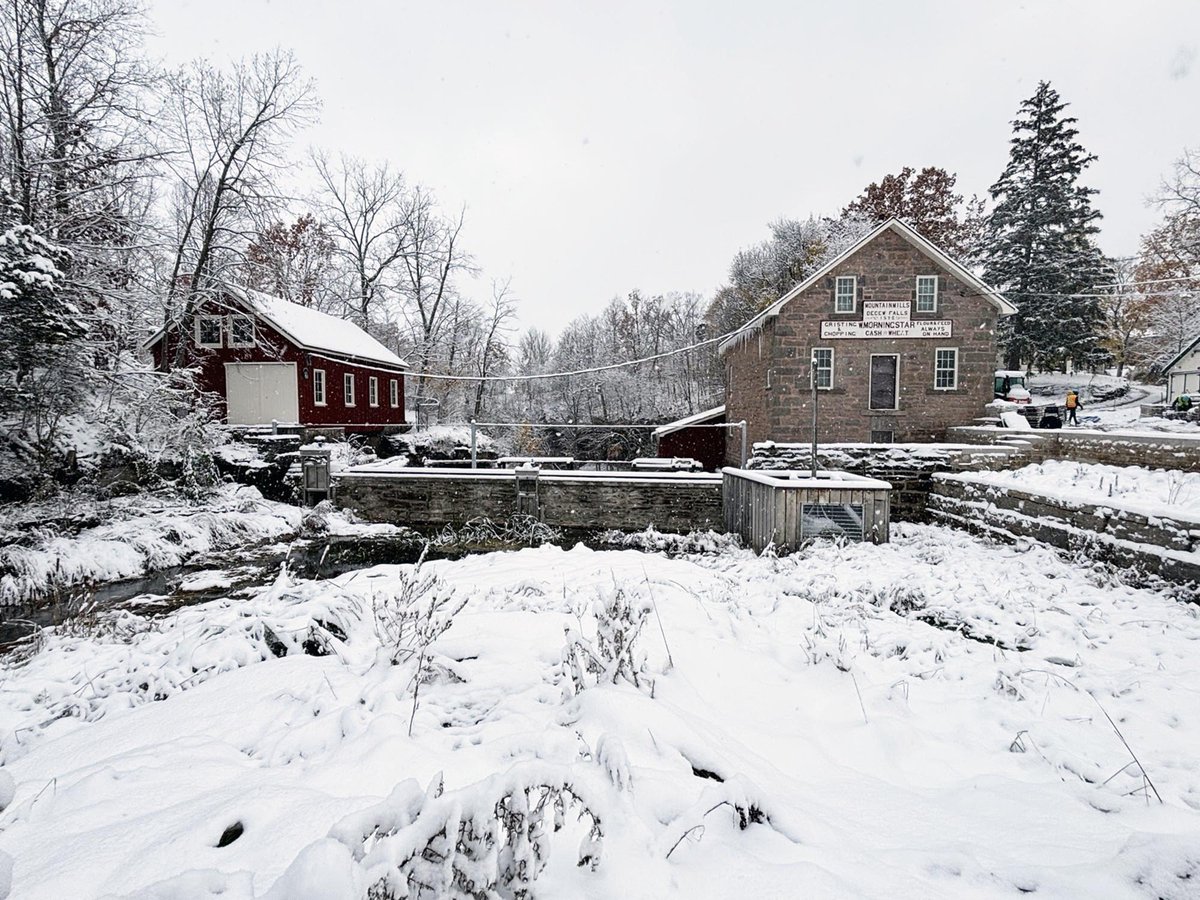 Morningstar Mill tweet media