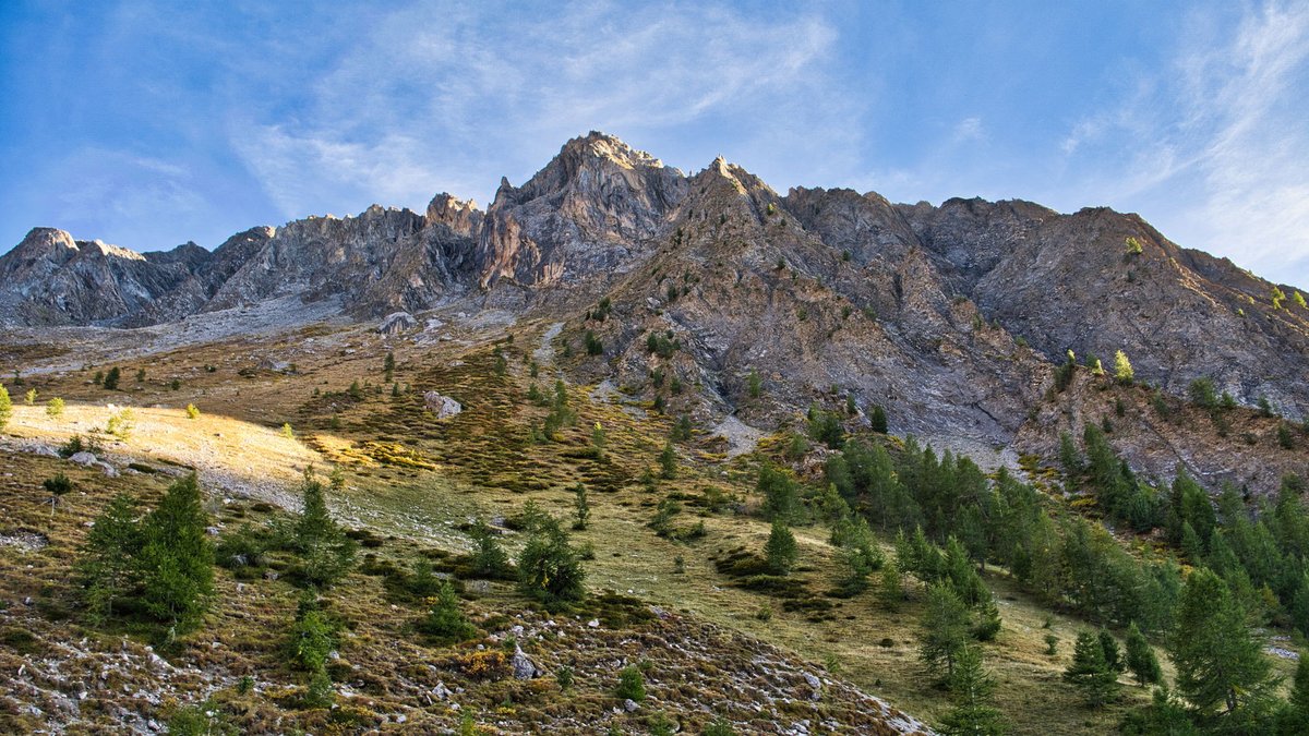 Franck Rando tweet media