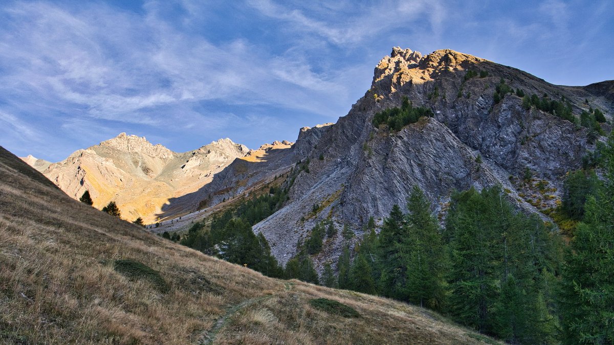 Franck Rando tweet media