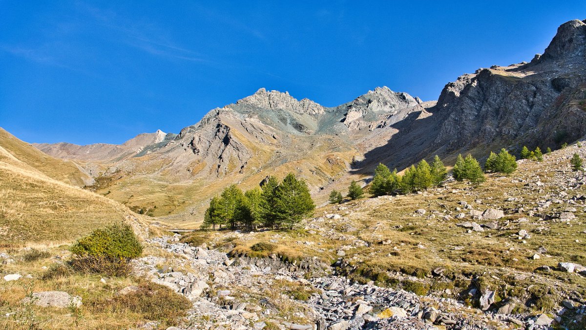 Franck Rando tweet media