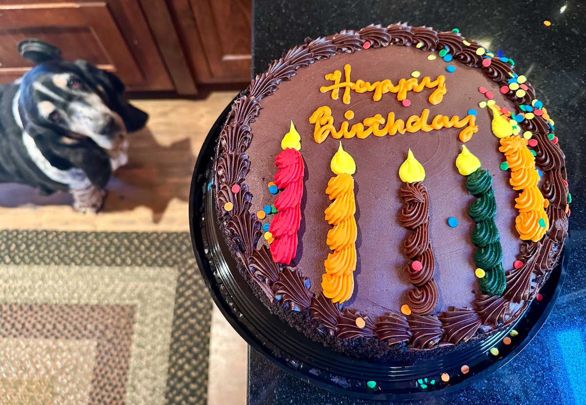 John went to <a href="/Costco/">Costco</a> yesterday and bought himself a #birthdaycake