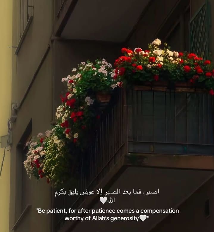 1_NB_0's tweet image. 