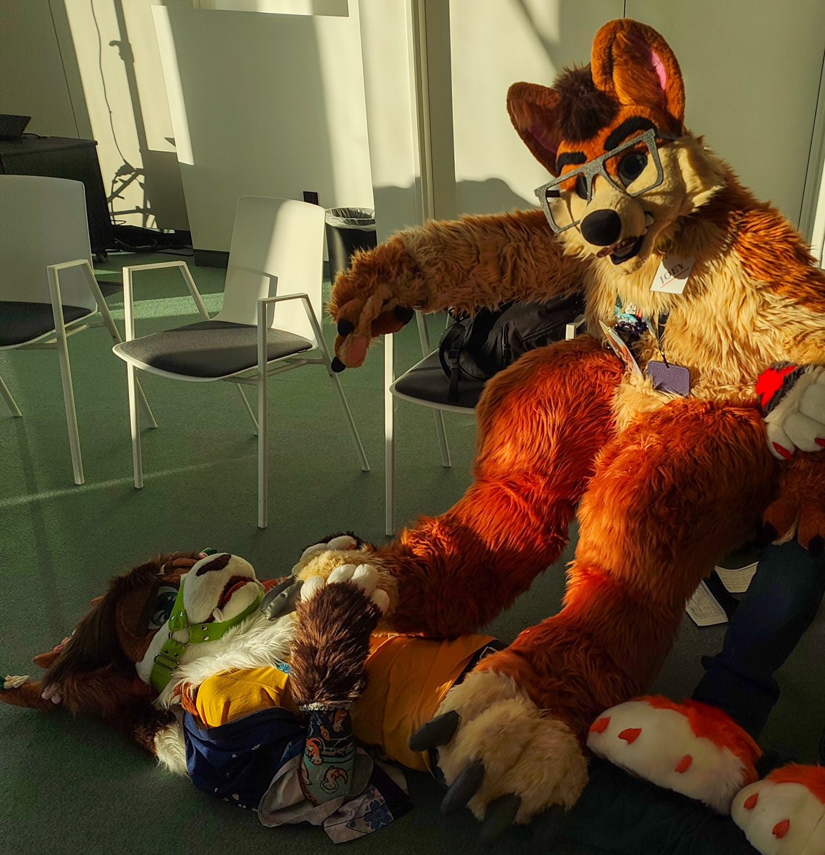 Perfect place ☺️🐾
🐾: <a href="/JoeyPawMemories/">Chubby Fox Memories 🦊🐱🇮🇹 🔜NFC2026</a> 
📸: <a href="/Tinkathehyena/">Tinka 🇧🇪🇫🇷</a>