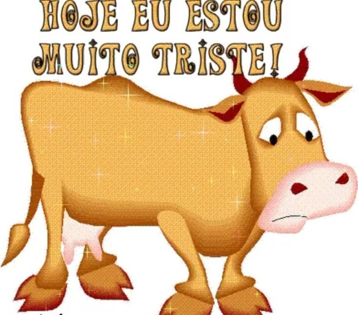 Serasa tweet media