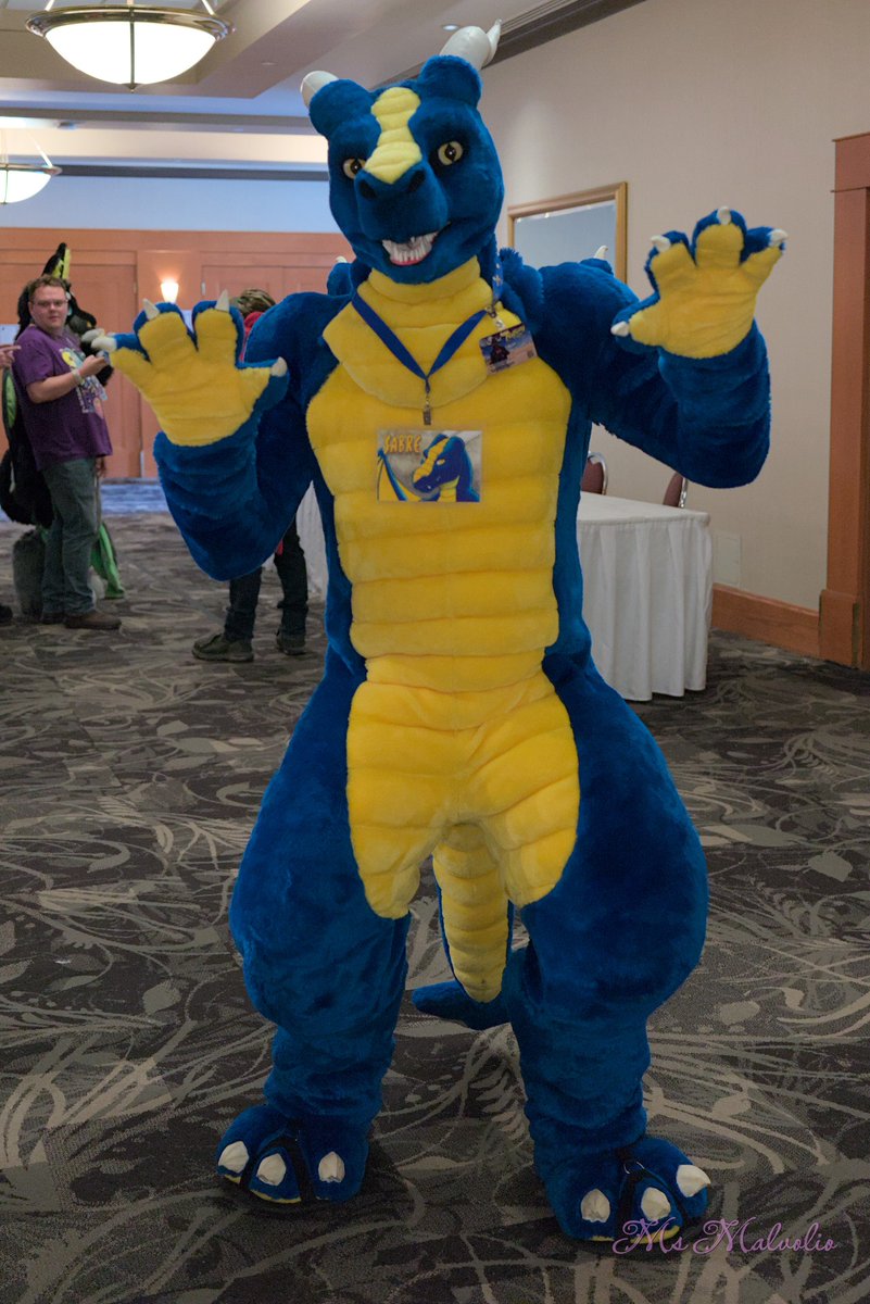 Sabre Dragon tweet media