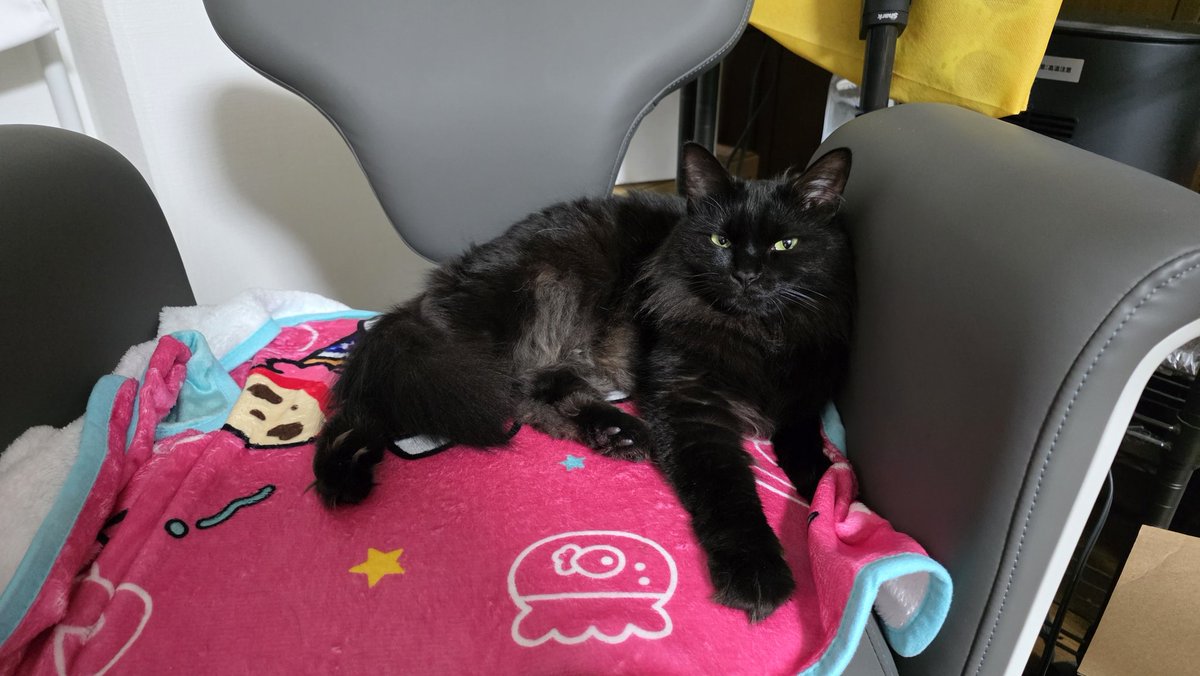 これもんじゃの椅子になっちゃった