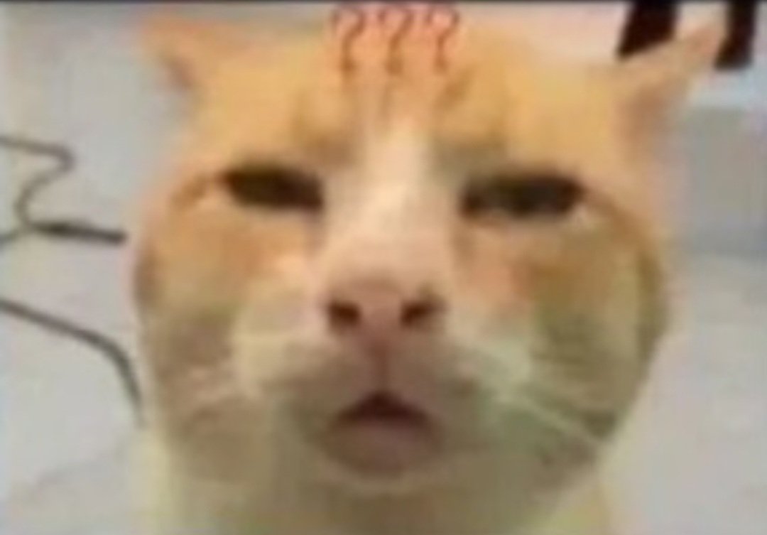 What the fuck i just saw