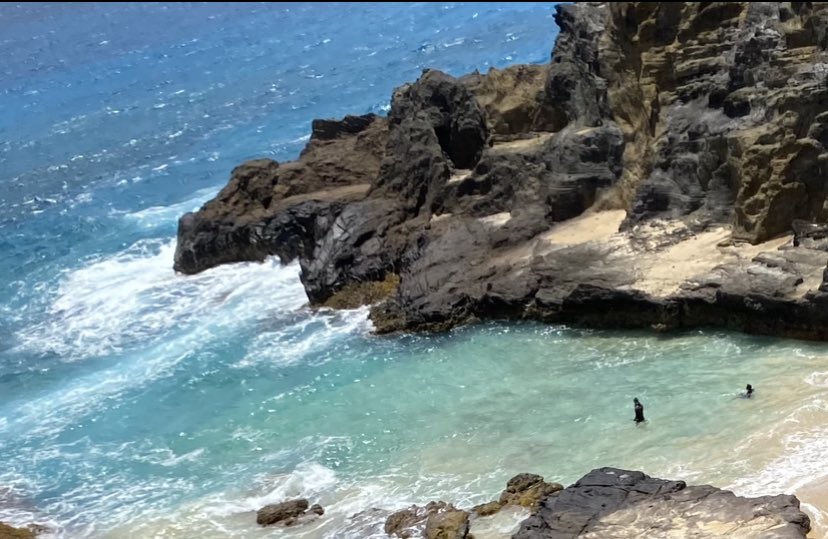 Always Aloha tweet media