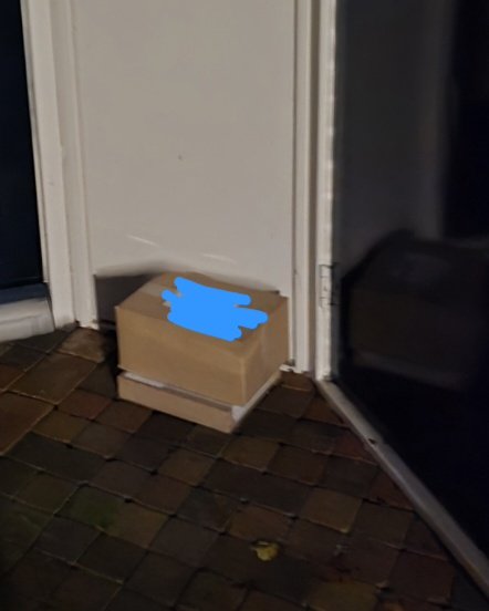 Grace 🐱 tweet media