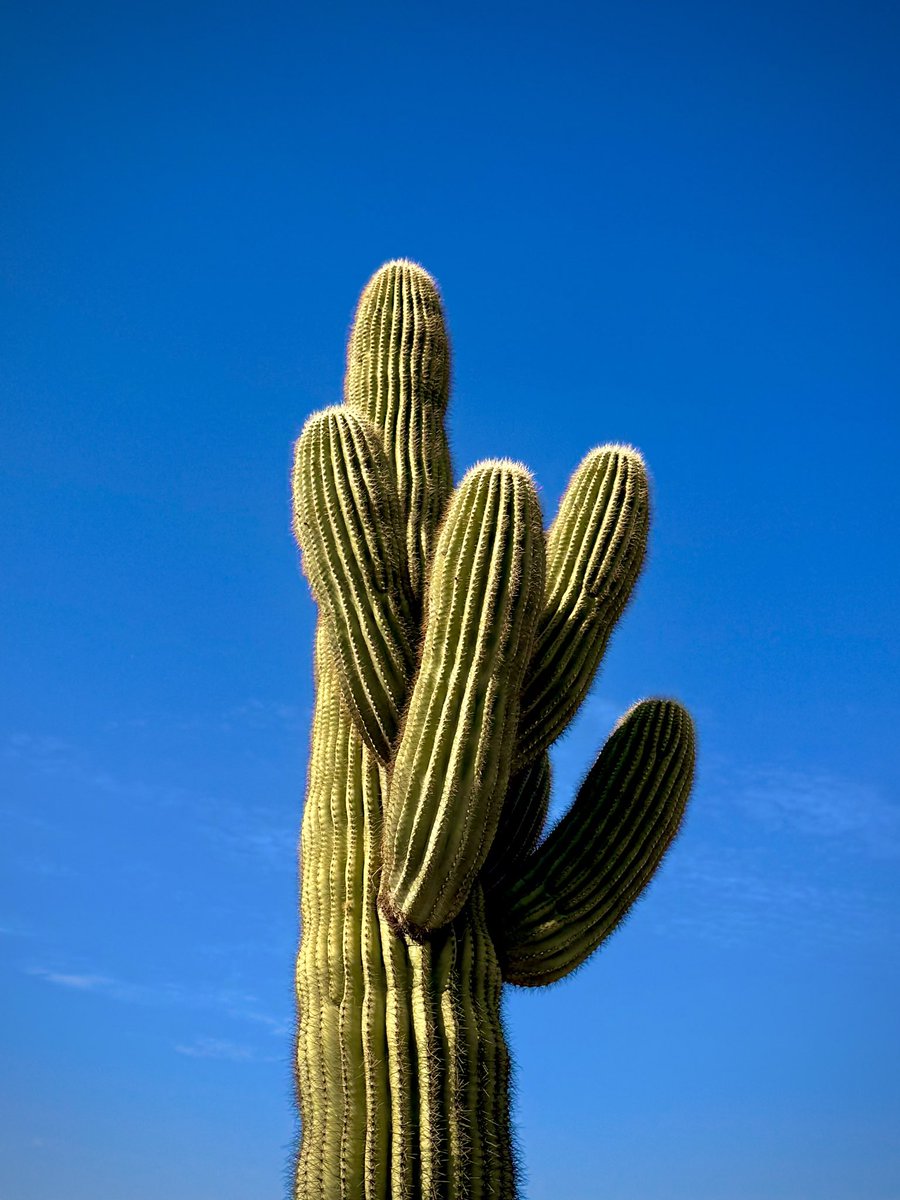 My view all week https://t.co/Ck3n4X7c3l