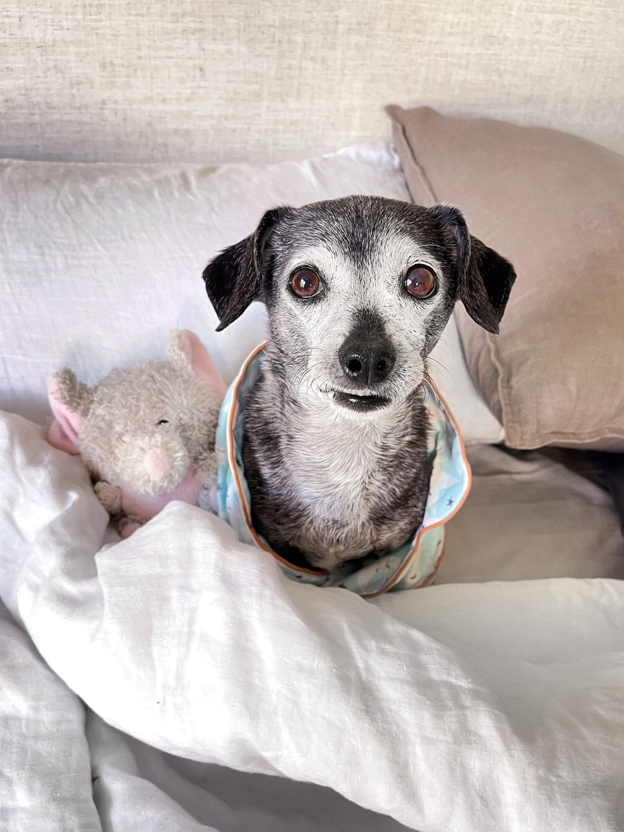 fulcandles's tweet image. we heard it is fryday. very excited to receive our fries.