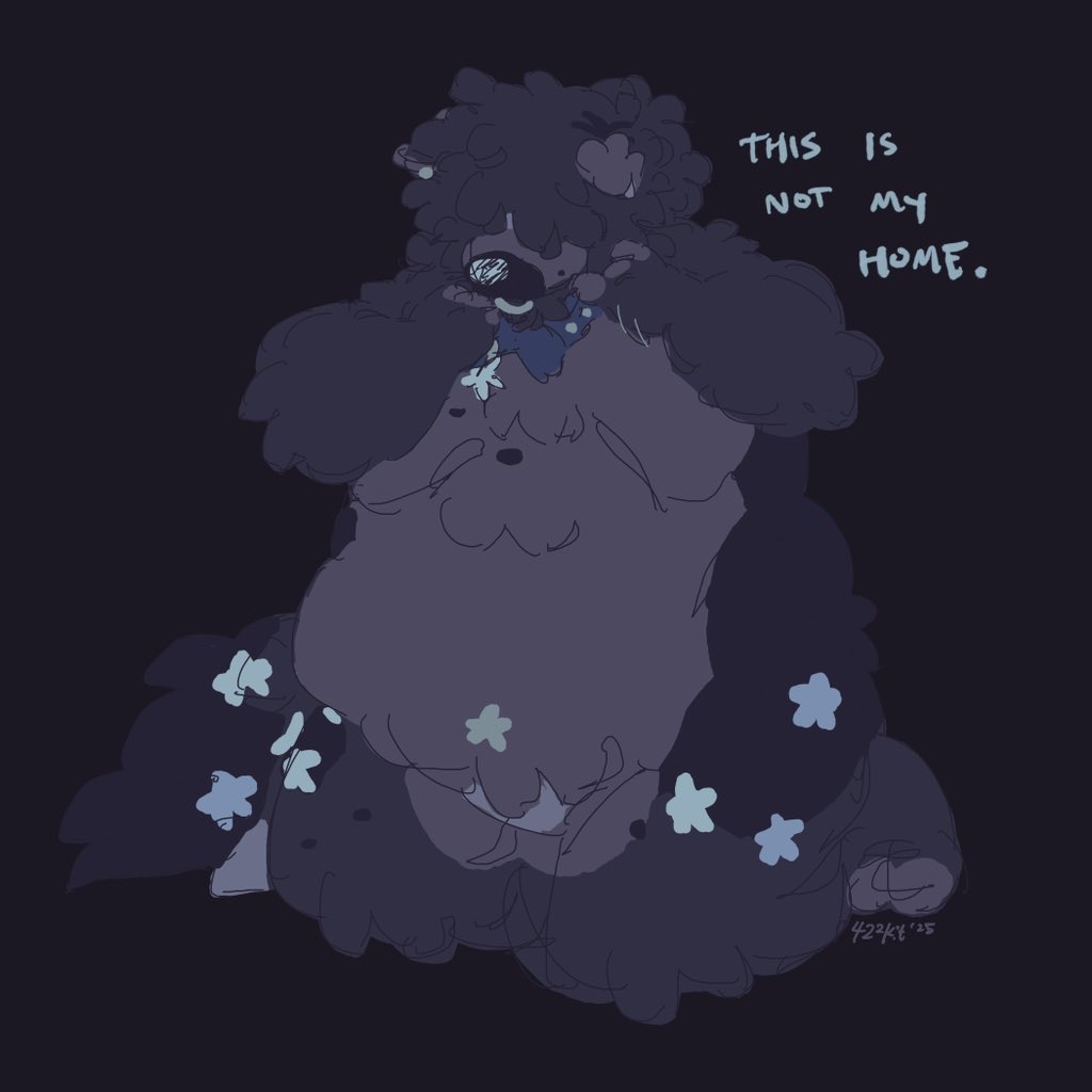 422kit's tweet image. this is not my home .