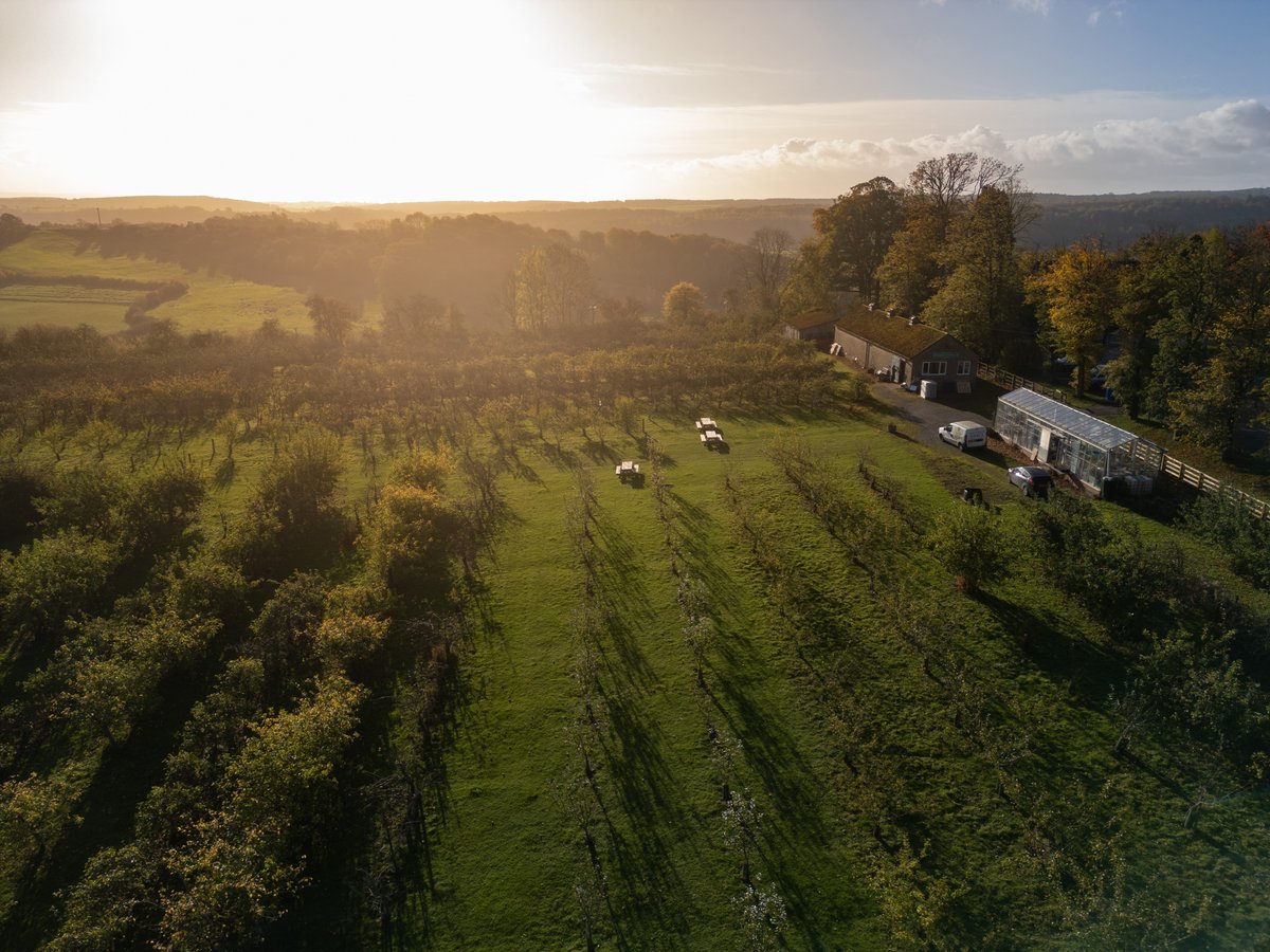 Did you know? Our orchard’s 1,500 trees yield 15 to 20 tonnes of apples every harvest. 

More than 50 varieties ripen naturally from August to January.