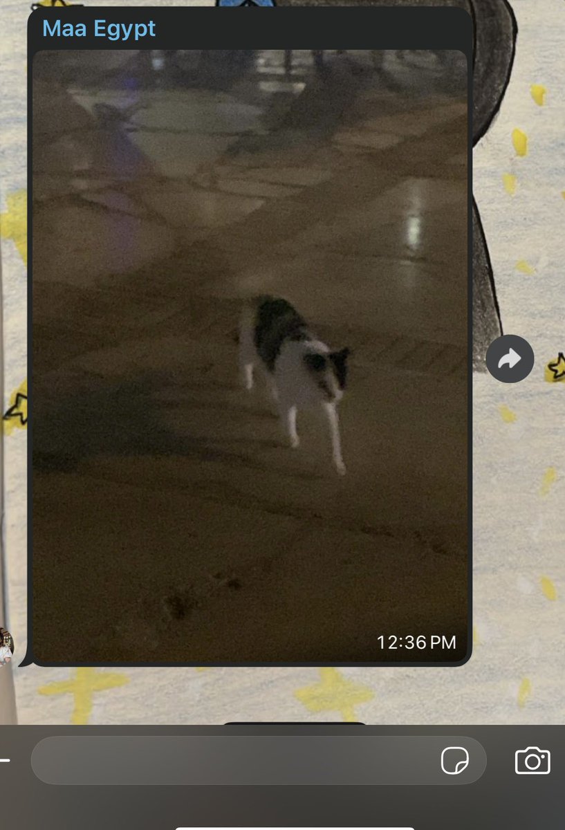 aseeleid9's tweet photo. Asked my mom to send me pictures of her trip
The pic my mom chose to send: https://t.co/CeDB5F6JzA
