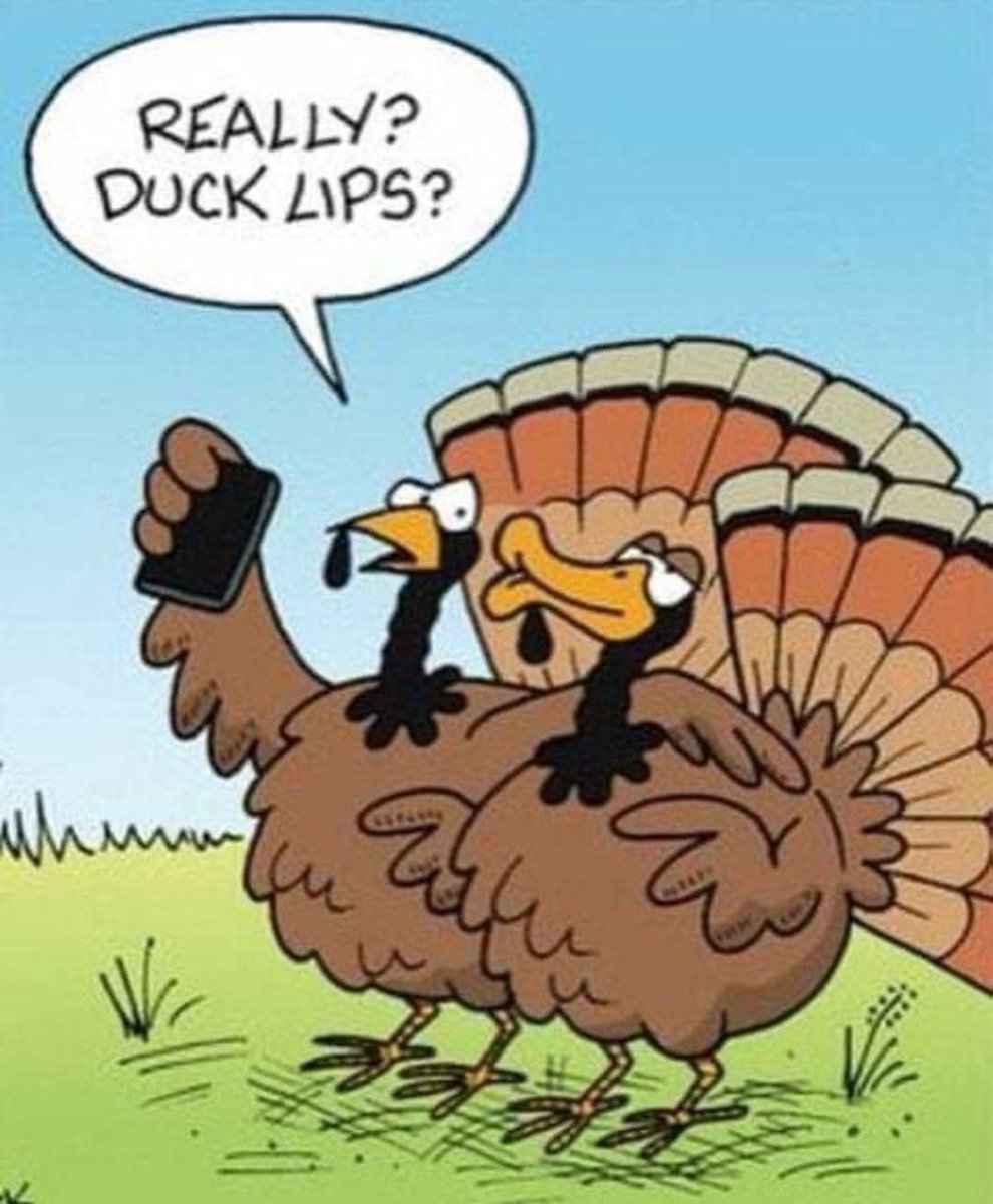 kevinhunsperger's tweet image. #ThanksgivingHumor