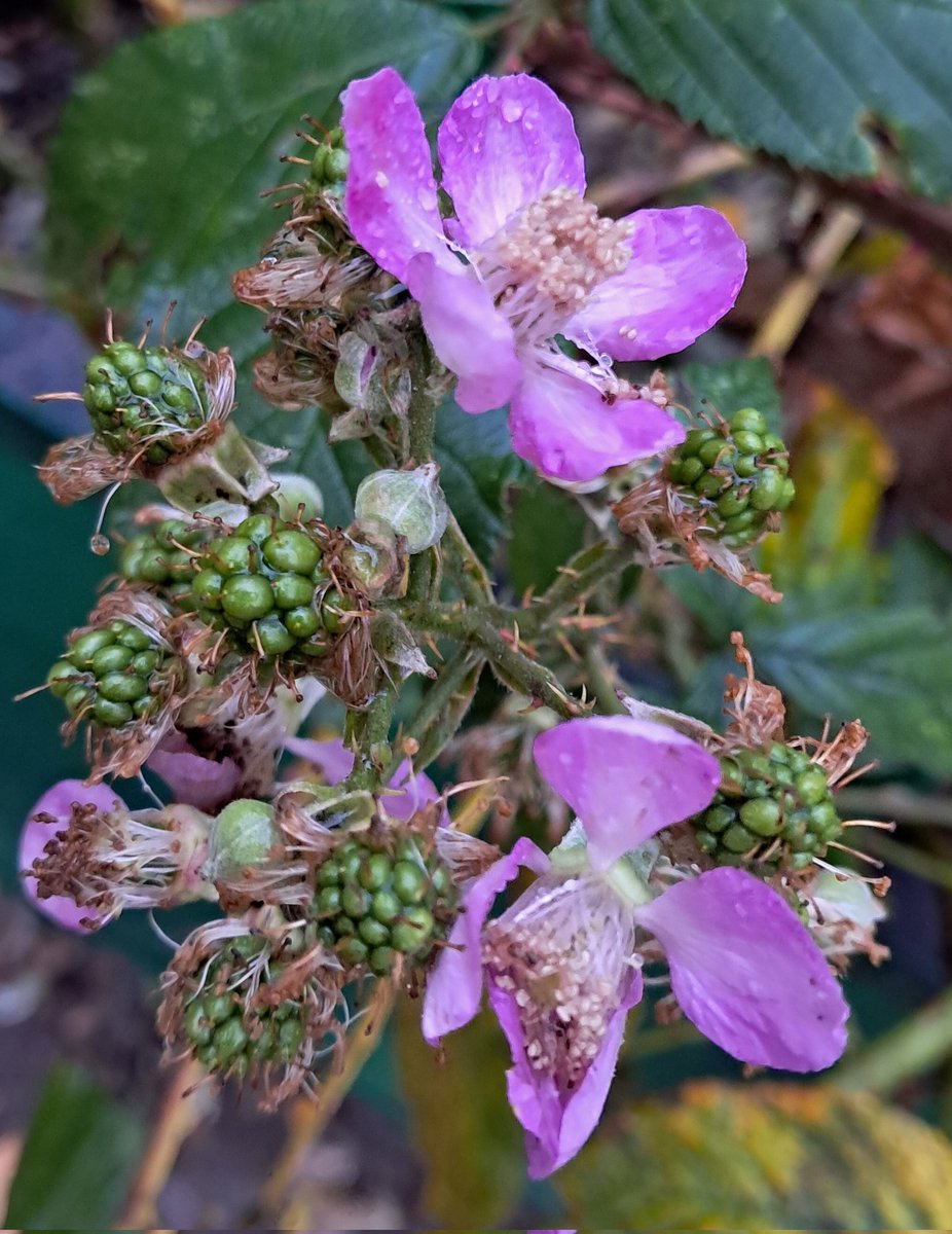 ivalent_'s tweet image. 