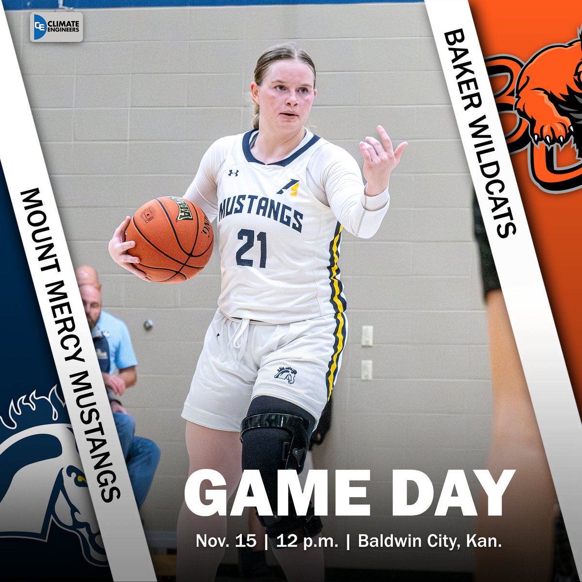 Mount Mercy Mustangs tweet media