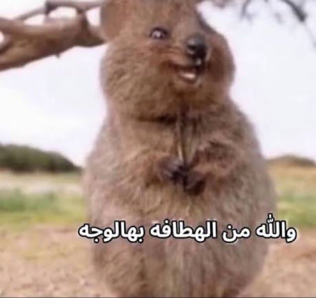 اليوم العالمي لوالله من الهطافه بهالوجه