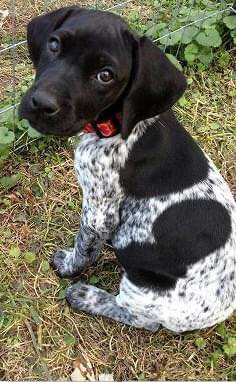 Hello! I'm just wondering how many of you would love to say hello back to me ? 🥹💞😘