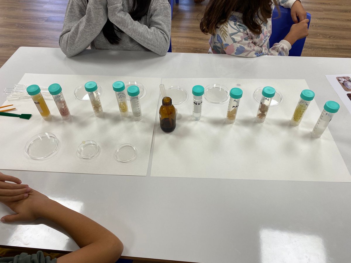 CEIP Infantes de Lara tweet media