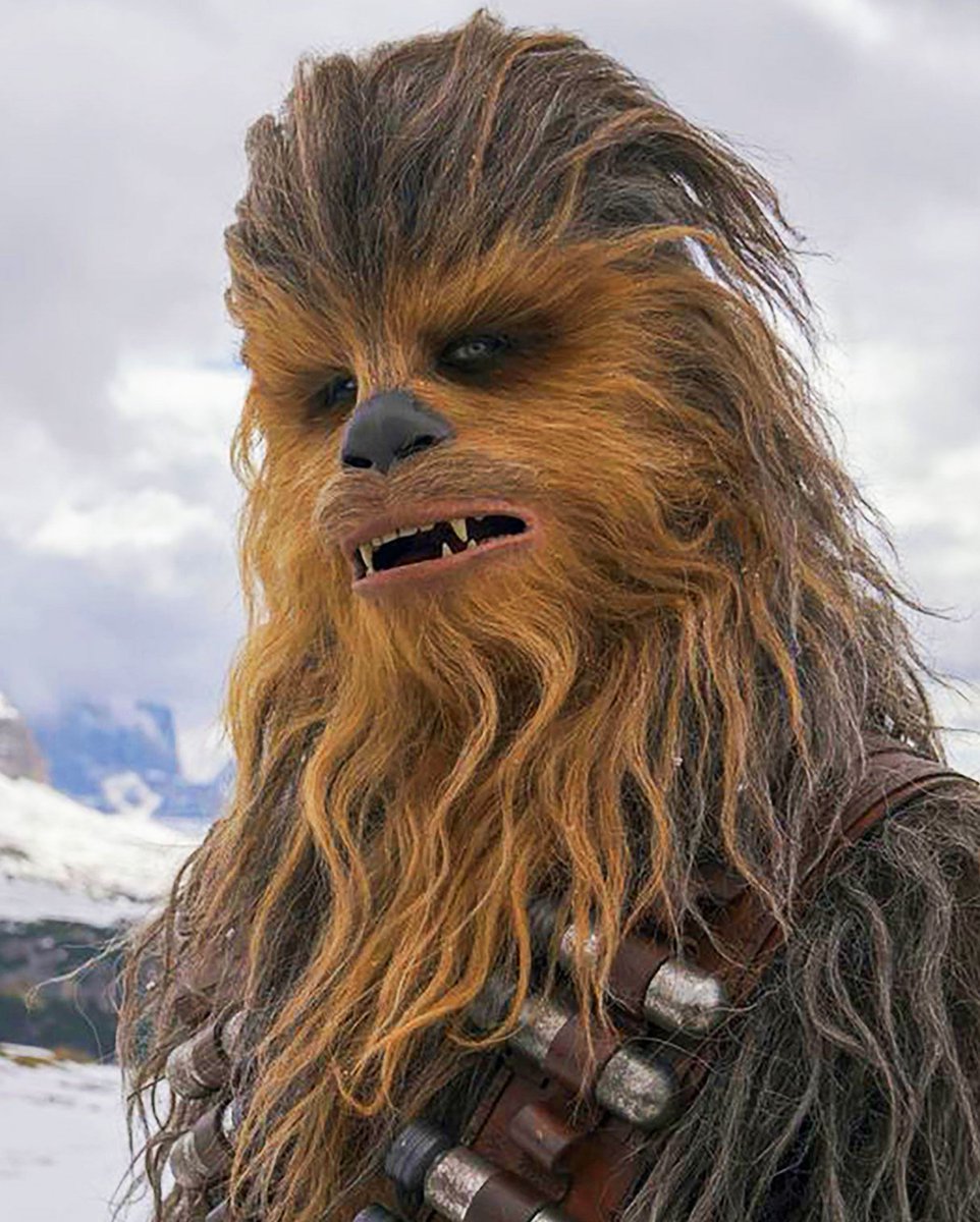 StarWars_Direct's tweet photo. Chewbacca star Joonas Suotamo has shared his support for THE HUNT FOR BEN SOLO:

"Yes, that sounds like such a cool idea for a film, and I would love to see it myself!"

(via @THFBS2028) https://t.co/5ua9Kbm2gA