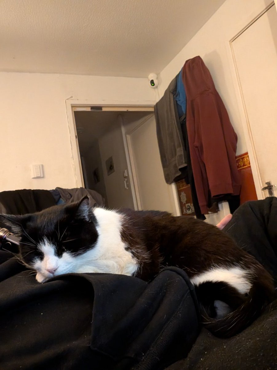 Raith (bsky - raith.one) tweet media