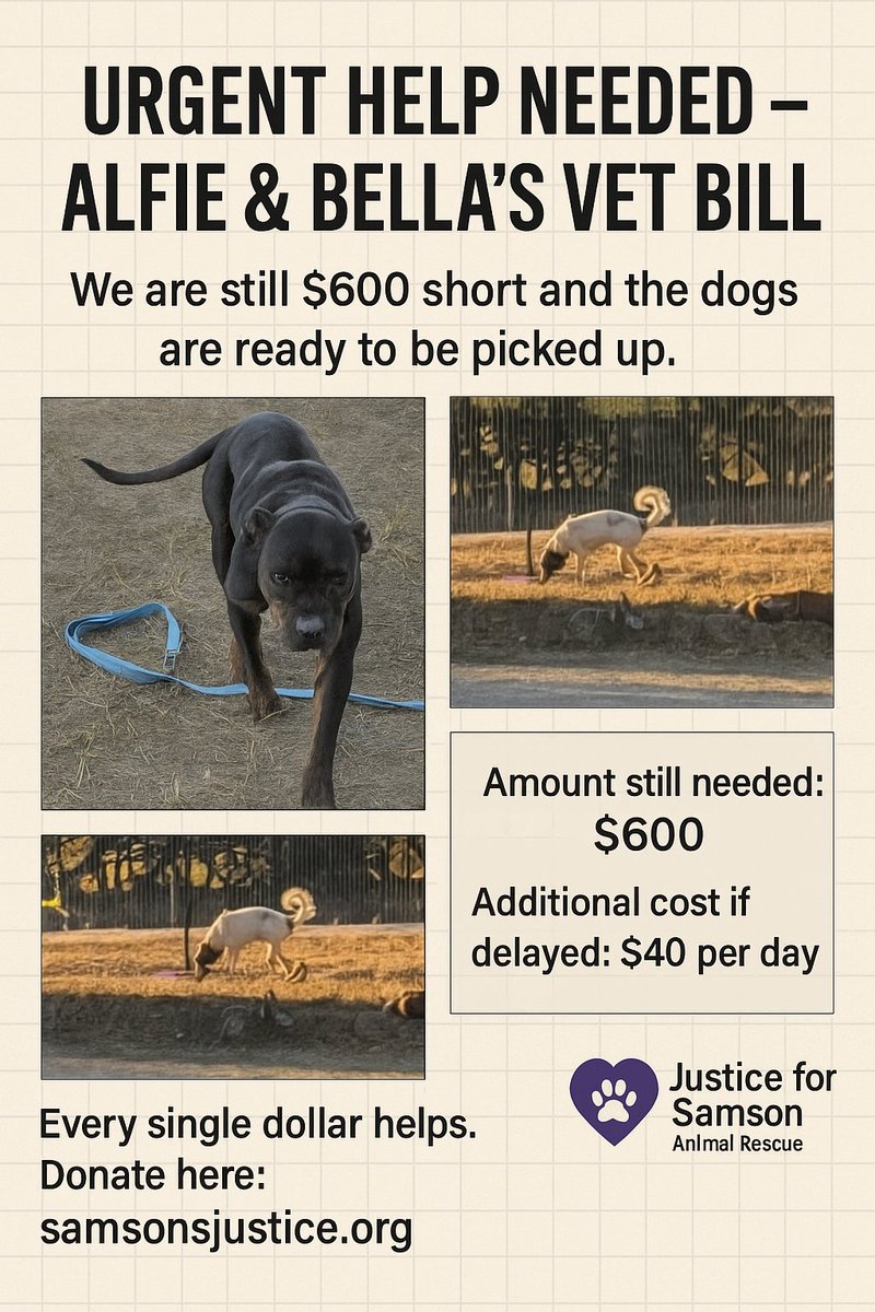 samsonsjustice's tweet photo. We still need to pay the vet bill so the dogs can be released. Please. Let's not fail these sweet babies https://t.co/N971v4k3rL