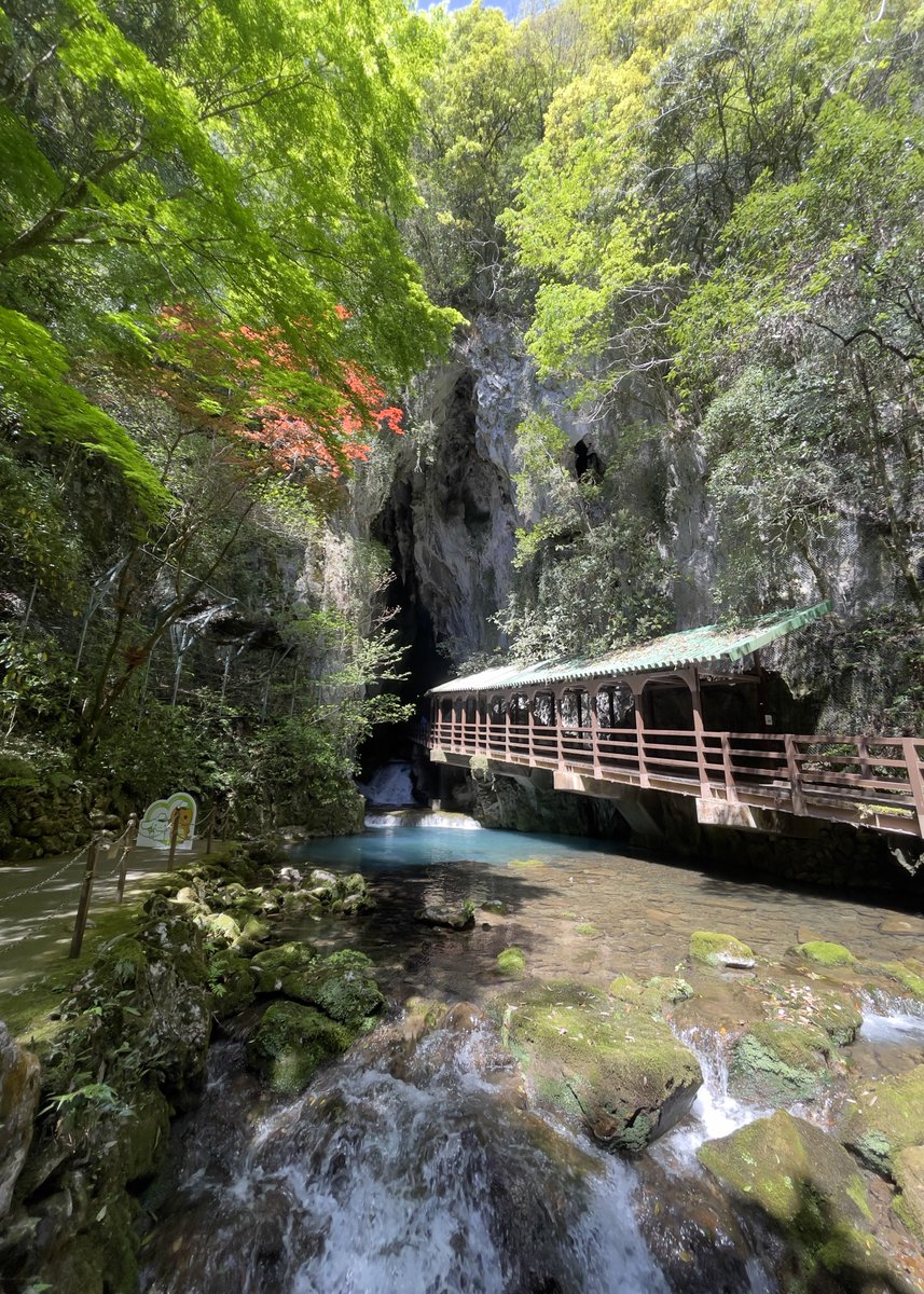 msmCh_108's tweet image. #HelloWorld #foryou