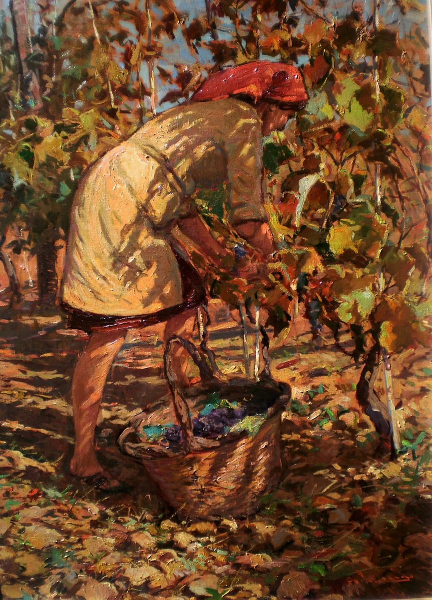 claudioborlotto's tweet image. Luxardo Giorgio -  vendemmia