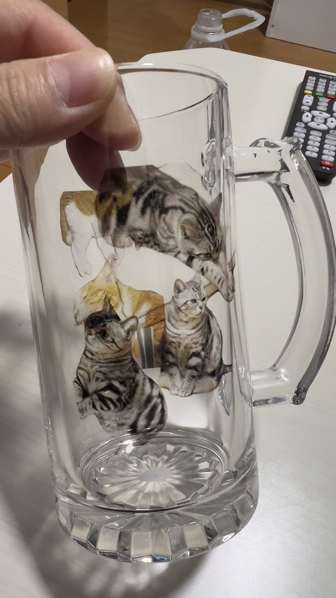 かえるん かえるんはｶｴﾙｩ(｢🐸・ω・)｢🐸 (@ONI_kaeru) / Posts / X