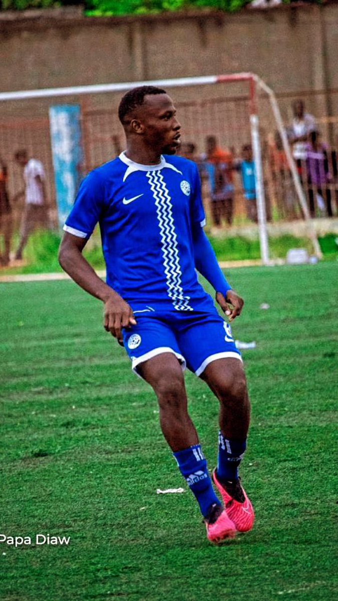 Chelsea TL221 tweet media